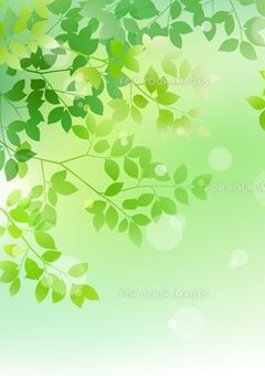 大嫌いな王子様(参加型)