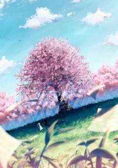 前世では軍人で今世では極道！？