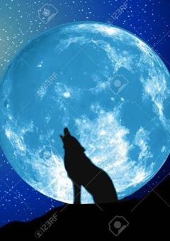 バグ大学園はいつも賑やかなです