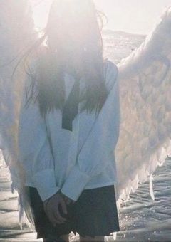 　︎     pale dream ⸝‍⋆