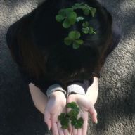 　Ruu＿ ♪⋆˙さんのアイコン画像