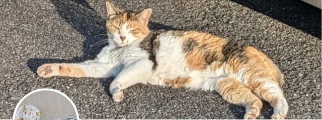 Ray@予定把握愚かさんの壁紙画像