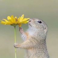 ajzさんのアイコン画像