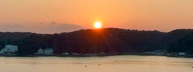 蜉蝣さんの壁紙画像