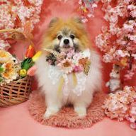 蜉蝣さんのアイコン画像