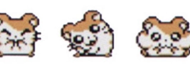 　目黒 みれい@低浮上さんの壁紙画像