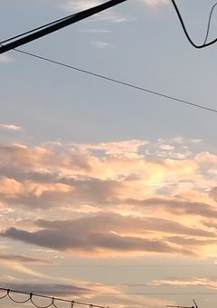 お友達募集~！。