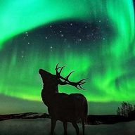 望月夜空さんのアイコン画像