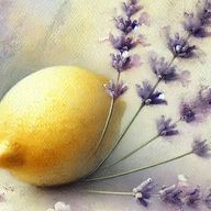 Senka_🐬🌸さんのアイコン画像