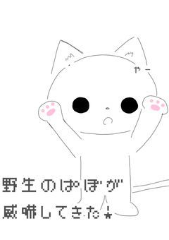 ããšãã ã¡ ãªããŸããã !!!