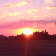 美四　ウカノさんのアイコン画像