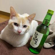 古賀比菜さんのアイコン画像