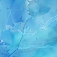 あーさんのアイコン画像