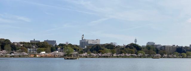 光闇 新🦴🚪🗝さんの壁紙画像