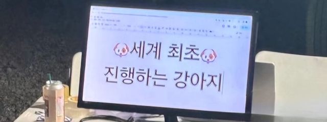 わんわんさんの壁紙画像