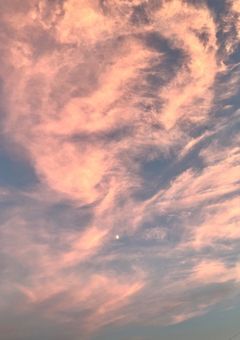 来世に期待を。