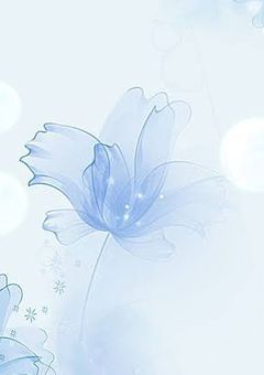  ︎✧ 貴方の隣にいたい  