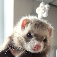 umm...さんのアイコン画像