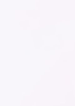 バブなスンチョルは私限定？