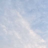 17さんのアイコン画像