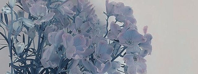 〜🌙🌌夜明💙〜さんの壁紙画像