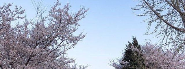 はな。さんの壁紙画像