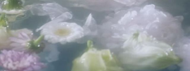 ㄘ ぇさんの壁紙画像