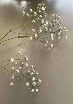 反韓毒舌BG