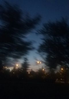 ハニーレモンソーダ𖠚໊‪