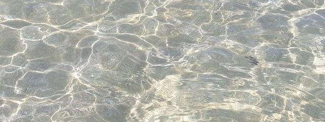 もめもさんの壁紙画像