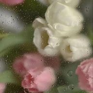 みかんさんのアイコン画像