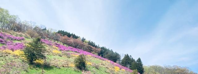 低浮上者  RーB さんの壁紙画像
