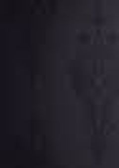 東雲家の姉は期待されすぎました