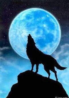 人狼ｹﾞｰﾑ　【参加型】