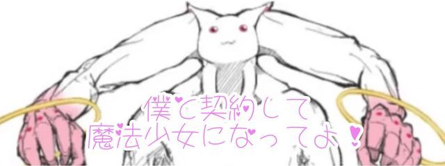 愚かなる現実さんの壁紙画像