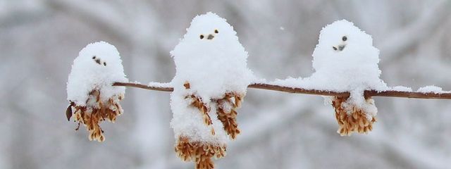 mi.さんの壁紙画像