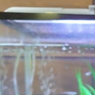 ラムさんのアイコン画像