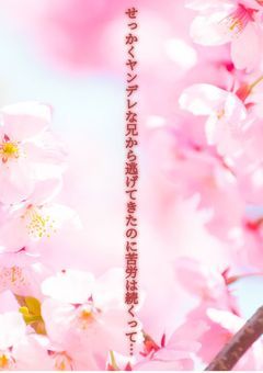 せっかくヤンデレな兄から逃げてきたのに苦労は続くって…