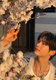 花嫁候補オーディション