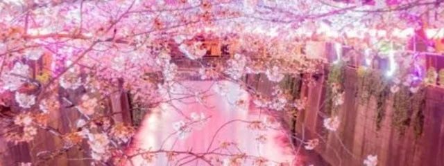 みかん@無浮上気味さんの壁紙画像