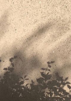 わたしだけ。