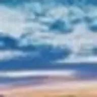 Shenaさんのアイコン画像