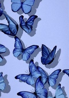 現実からの逃避行