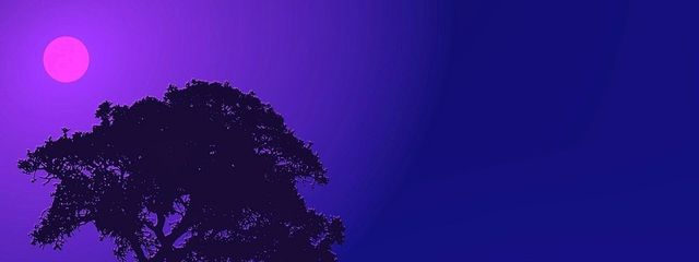 加奈江さんの壁紙画像