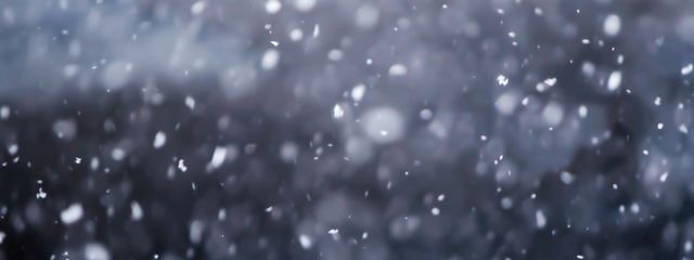 小雪さんの壁紙画像