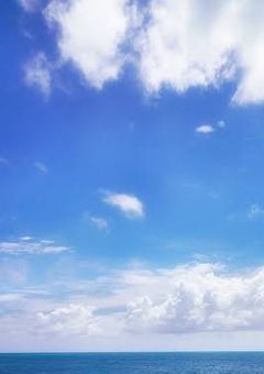 そにのトリセツ()