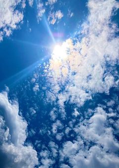 ざつだんのようなもの