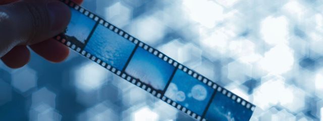 Shiinoさんの壁紙画像