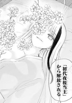 夜桜の姫