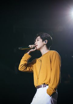 "츤데레 고양이"